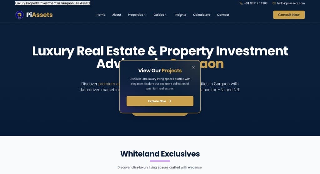 Pi Assets luxury real estate Gurgaon website case study by WebNextra